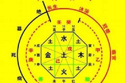 龍德 八字|八字神煞 龙德 (八字里龙德星是什么意思)